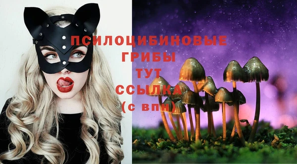 не бодяженный Инсар