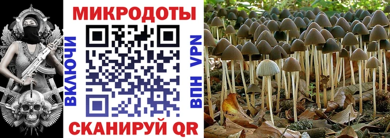 Галлюциногенные грибы мухоморы Каменка