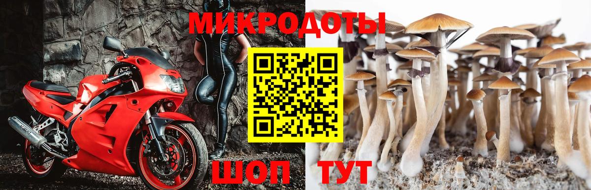 Каменка  Псилоцибиновые грибы Magic Shrooms  Вход с VPN 