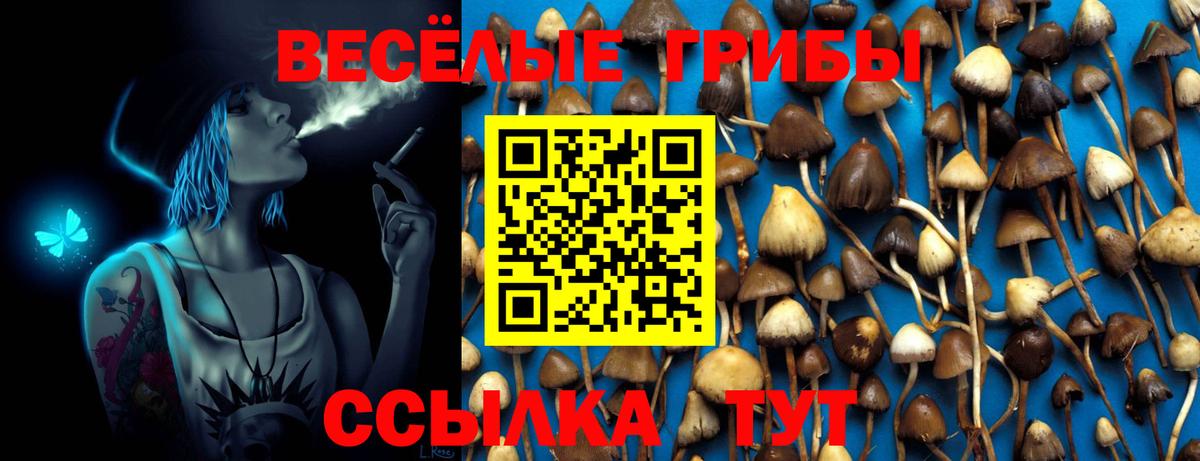 Псилоцибиновые грибы Psilocybine cubensis Каменка