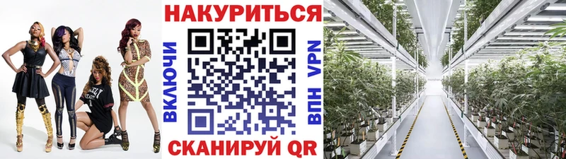 магазин продажи наркотиков  KRAKEN как войти  Шишки марихуана VHQ  Каменка 