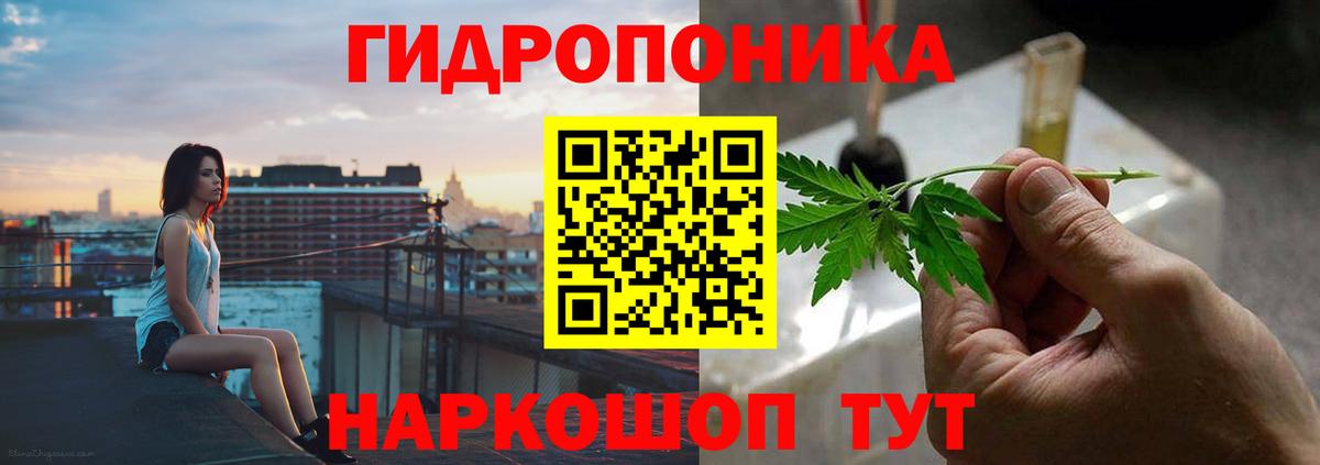 Каменка  Бошки Шишки OG Kush  Вход с VPN  Конопля OG Kush  МАРИХУАНА THC 21% 